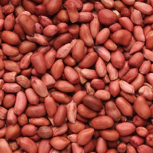 Groundnuts, red skin