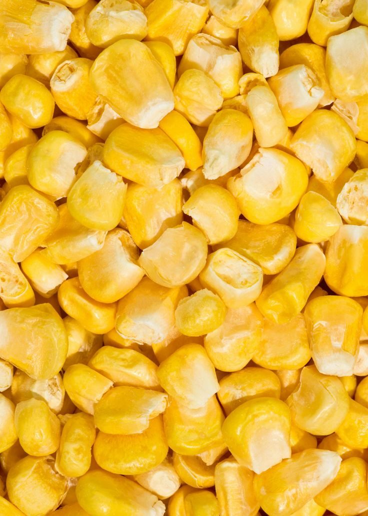 Maize (corn)