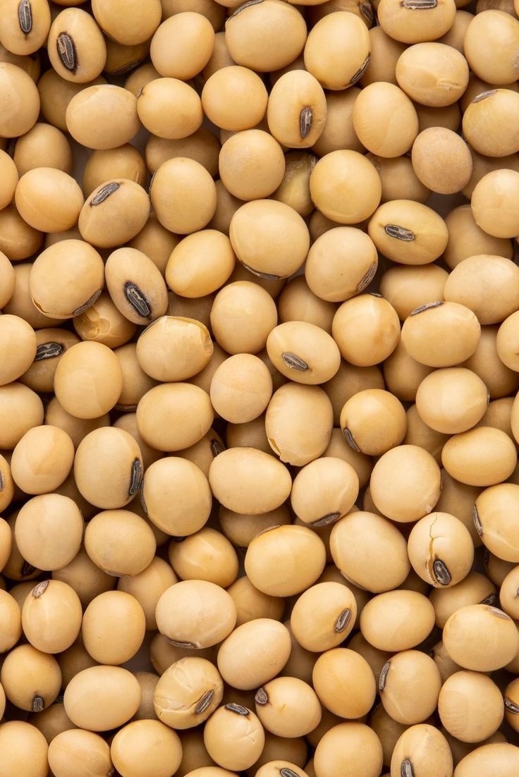 Soybeans