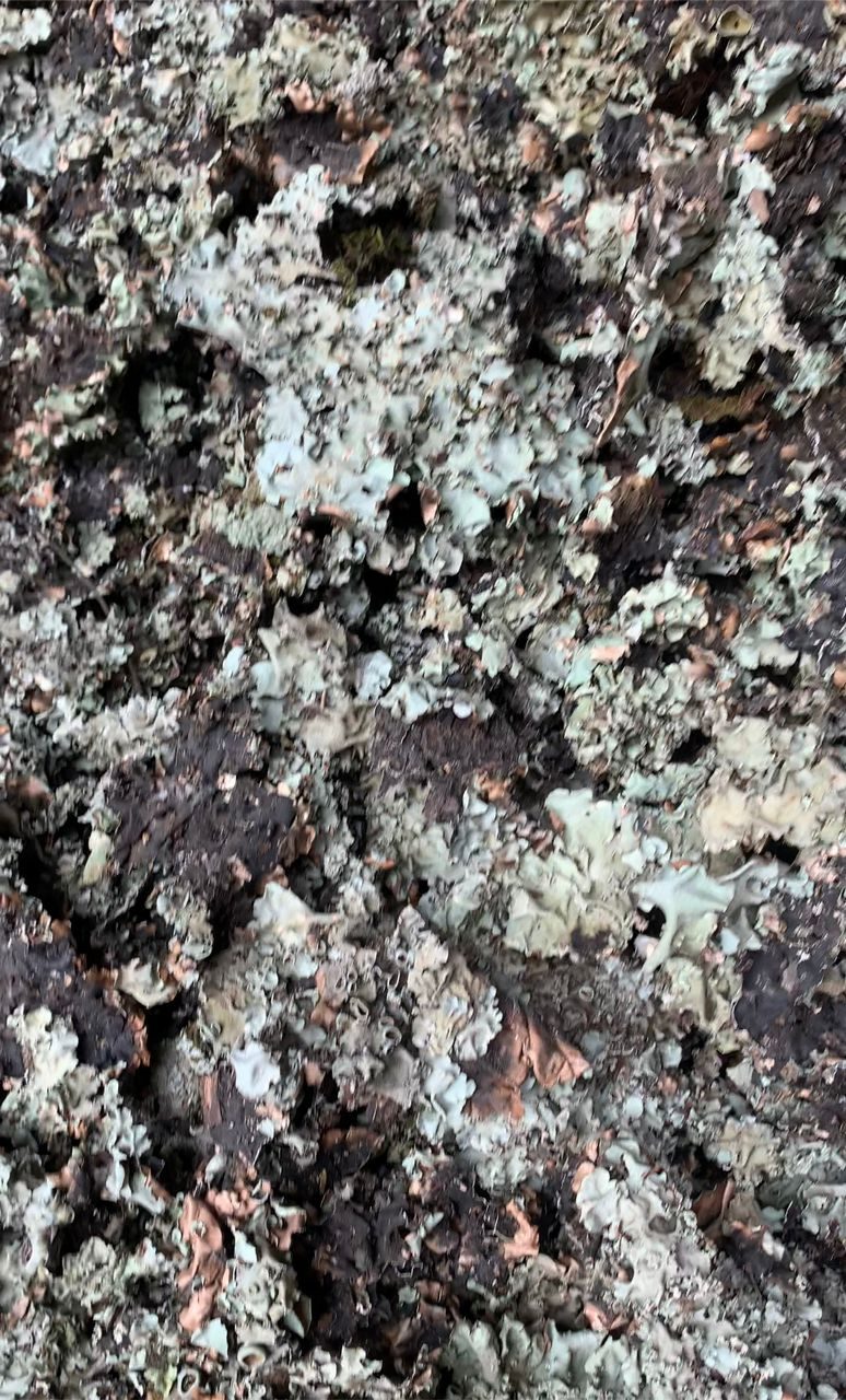 Stone flower